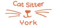 Cat sitter York image 1